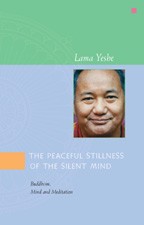 peaceful-stillness