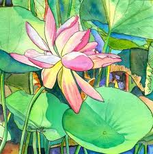 lotus-flower-thumb5055129