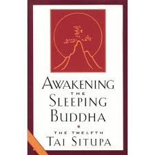 awakeningthesleepingbuddha-cover