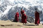 tibet-monks